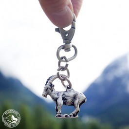 Der Schlüsselanhänger mit dem Steinbock im Steinbock-Paradies Pontresina in Graubünden (Schweiz) 