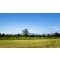 Landschaft rund um den Bodensee