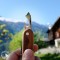 Taschenmesser PanoramaKnife Schweiz - Lieferung ohne Dekoration :) 