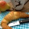 Eine schöne Frühstücksserviette. In einem Paket Serveitten sind 16 Stück.
